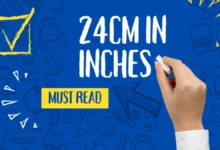 24cm in inches