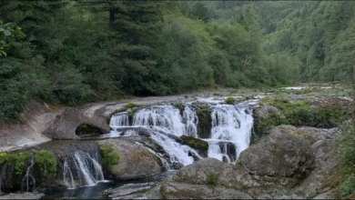 Dougan Falls
